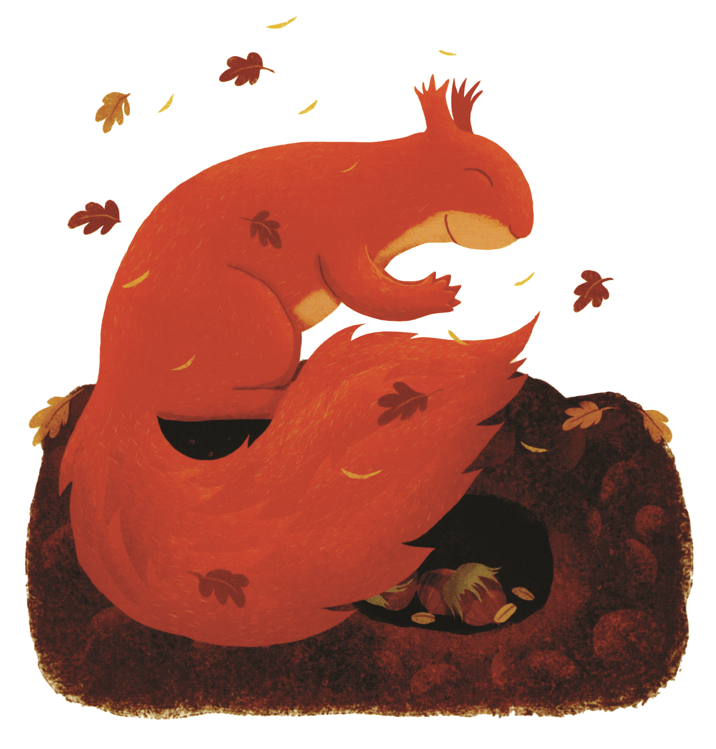 A Year in the Forest with Squirrel