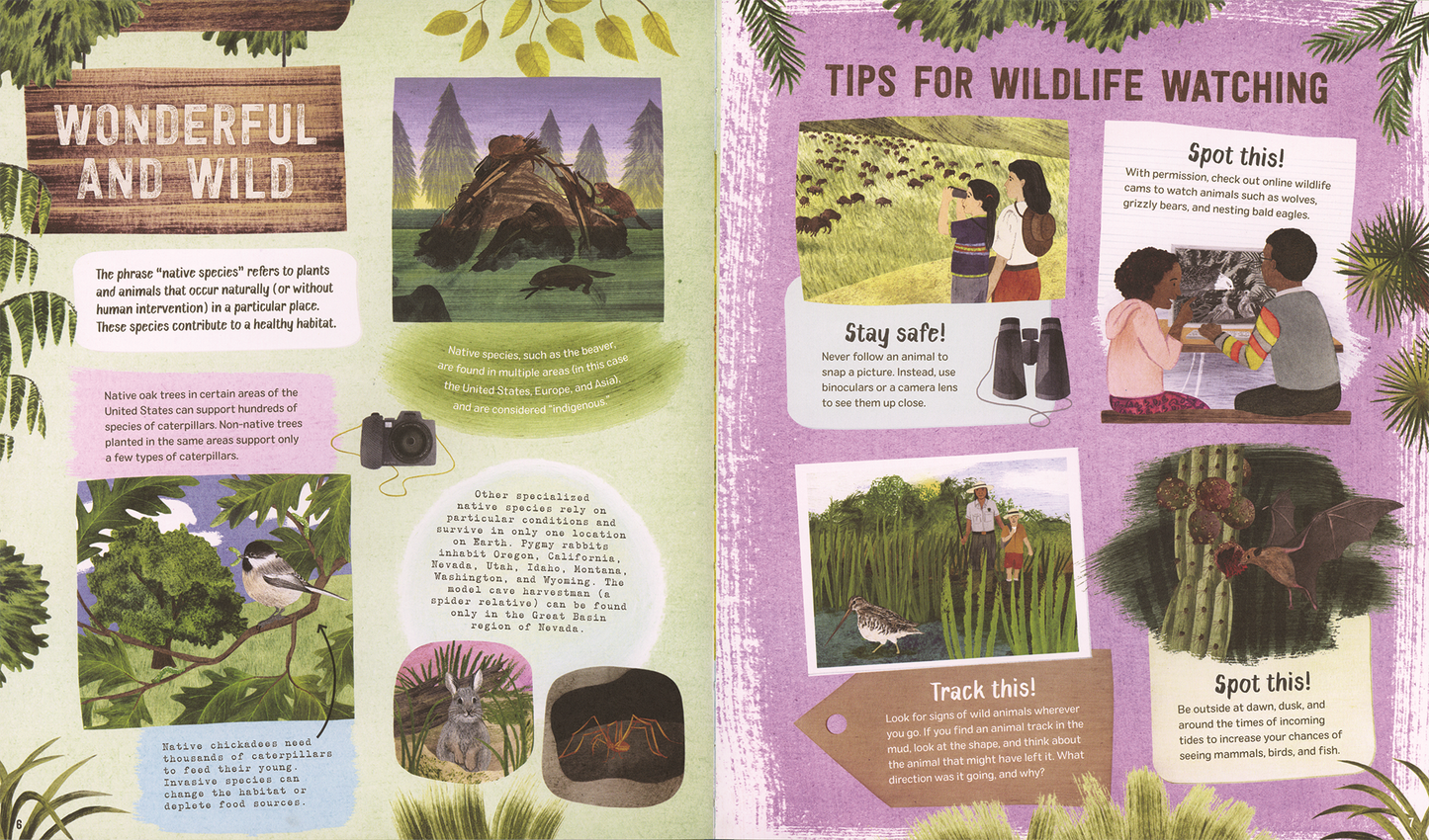 Explore! America's Wildlife