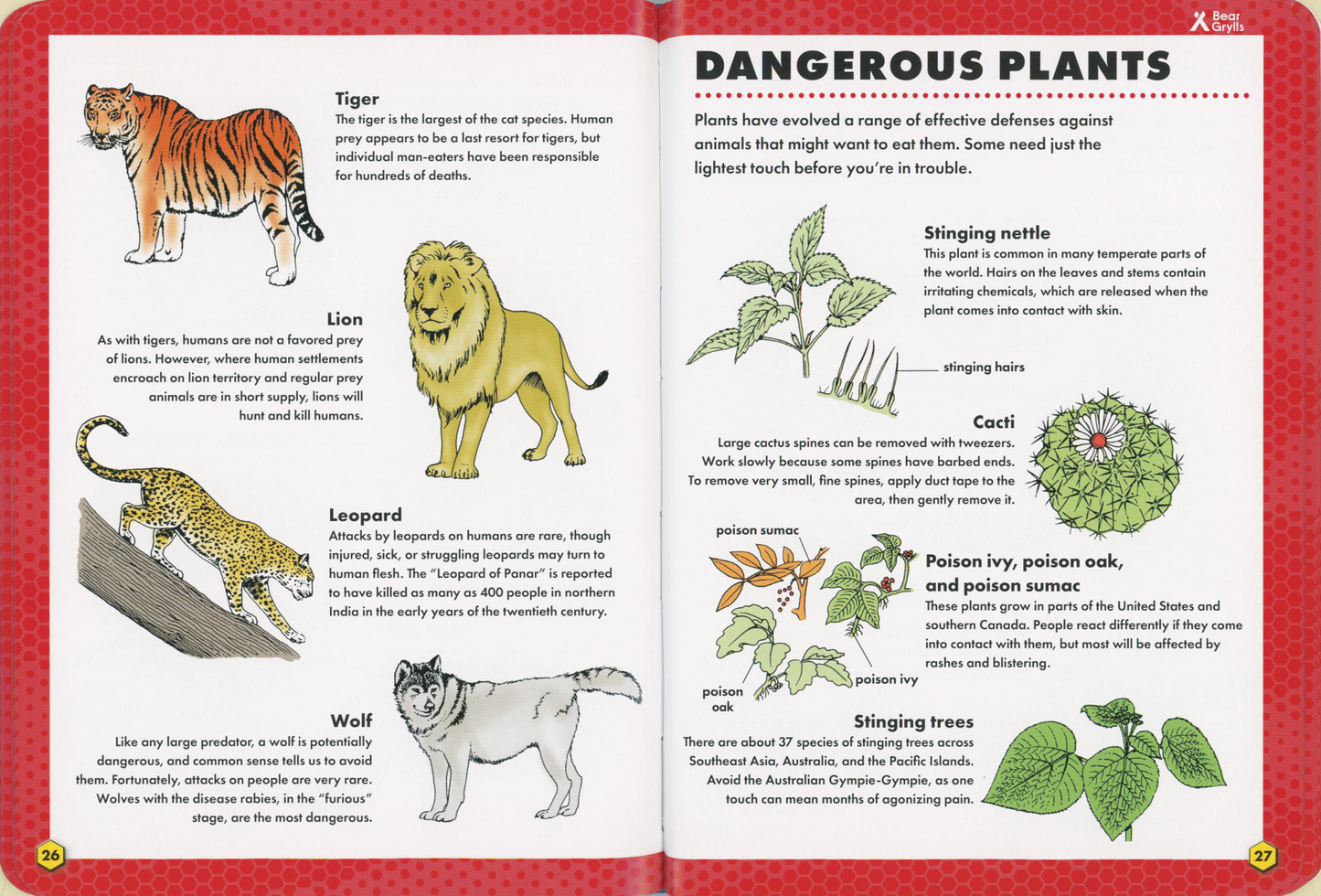 Bear Grylls Outdoor Skills Handbook: Dangers and Emergencies