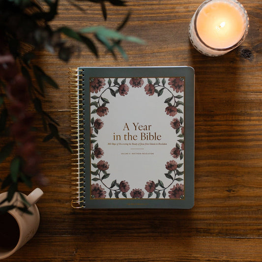 A Year in the Bible | Volume 4 Bible Study