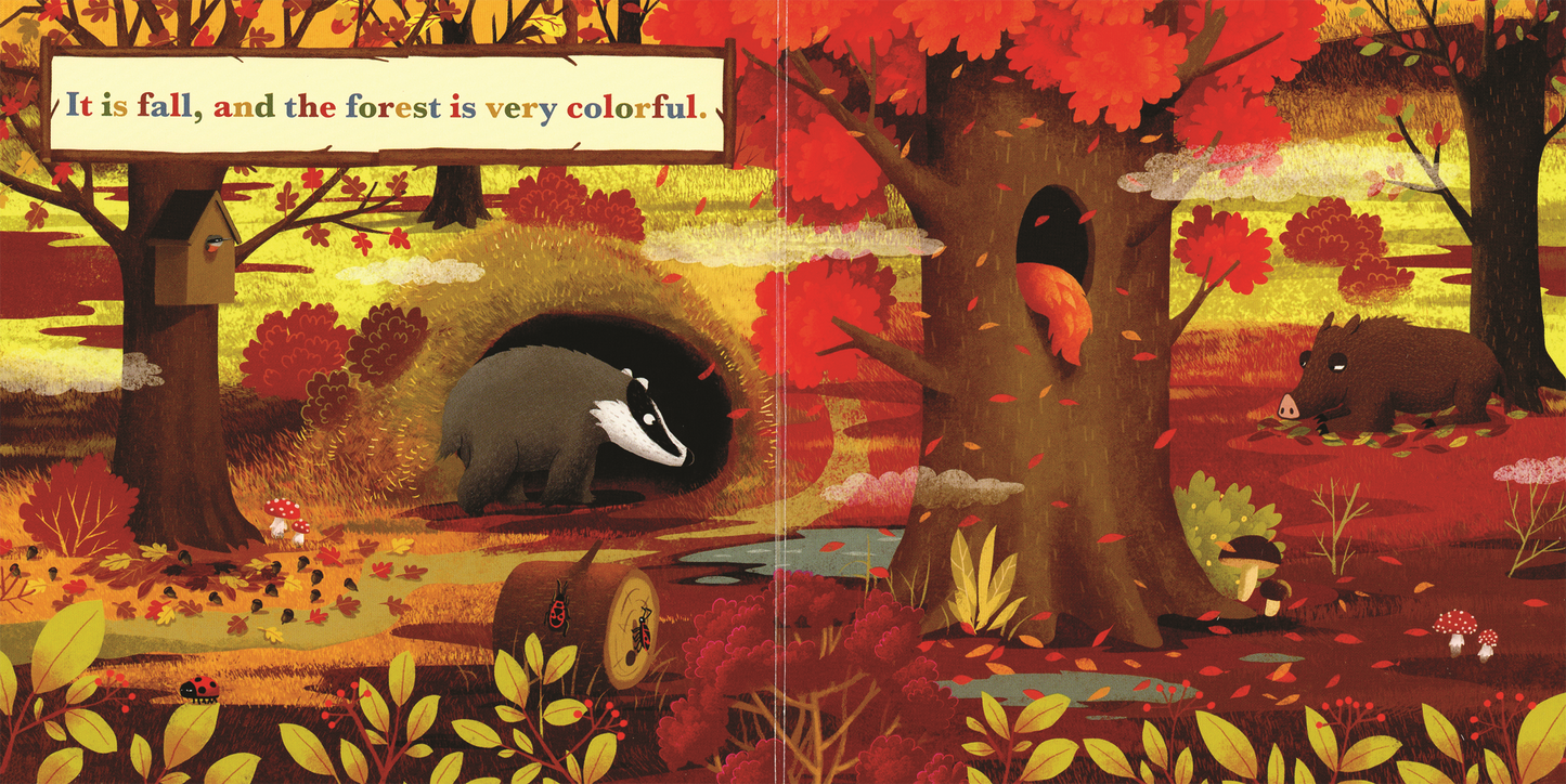 A Year in the Forest with Squirrel