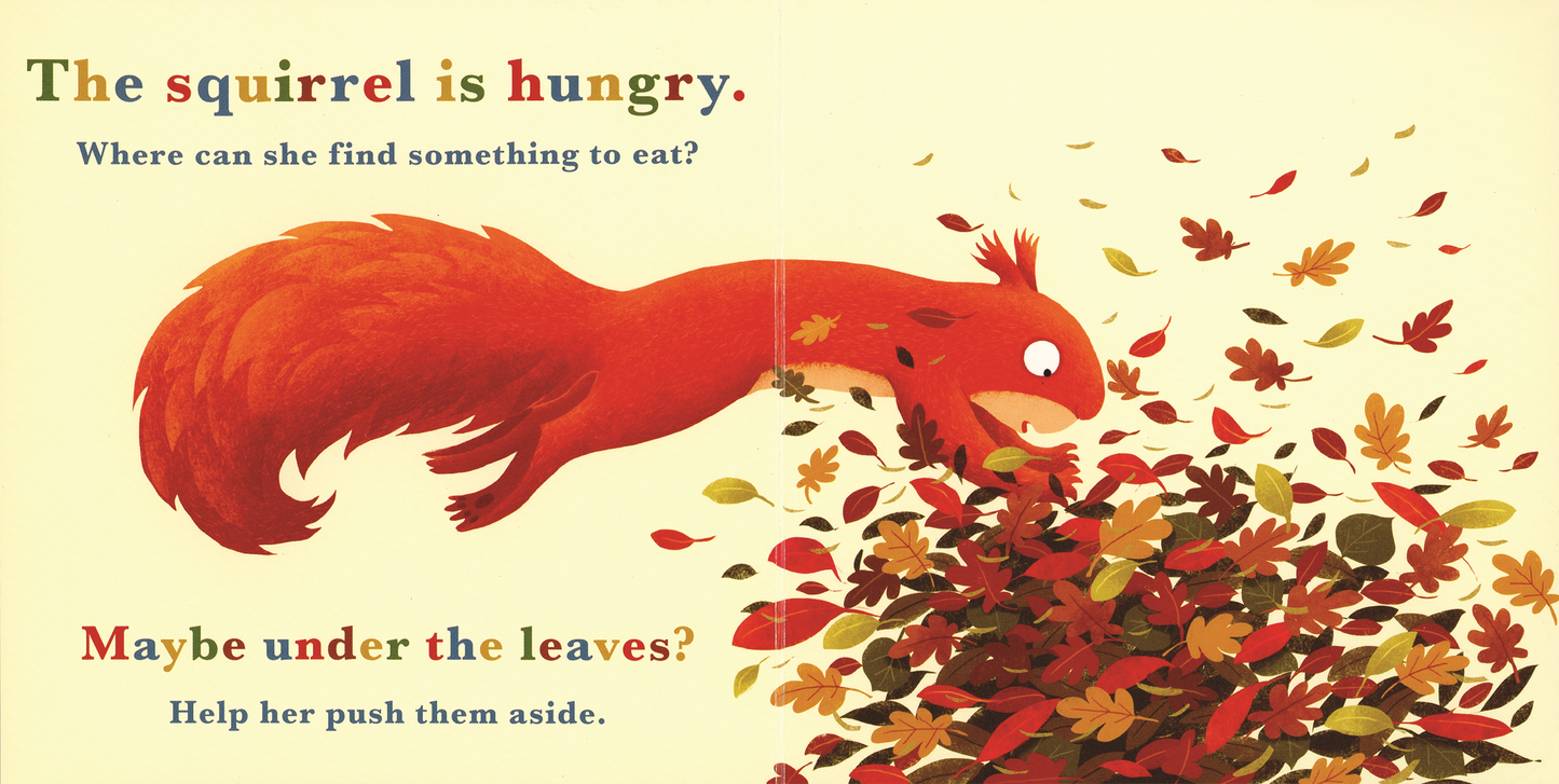 A Year in the Forest with Squirrel