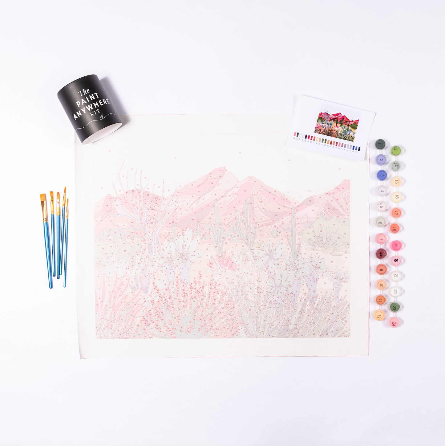 Bright Desert by Sarah Gesek Paint by Numbers Deluxe