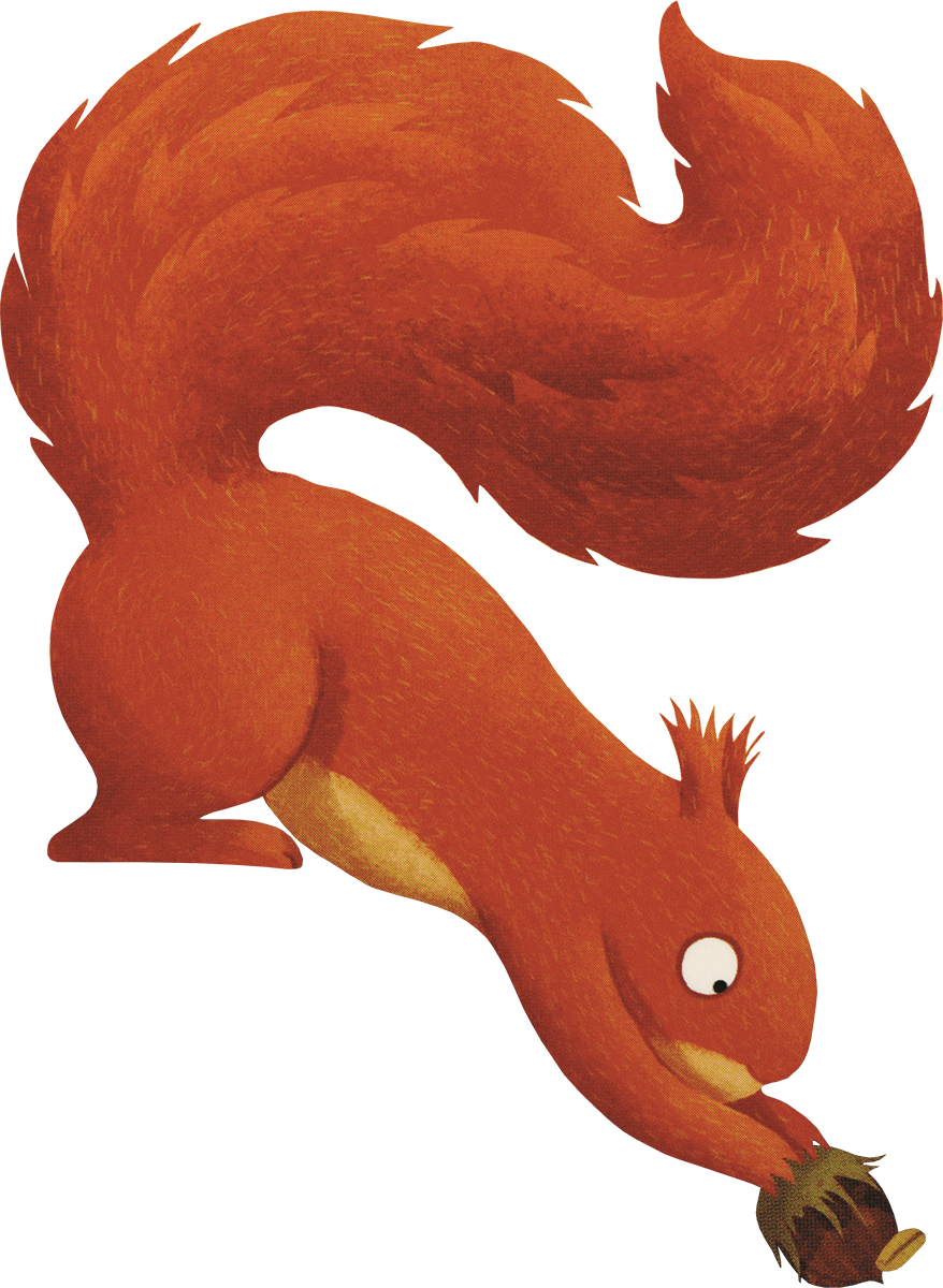 A Year in the Forest with Squirrel