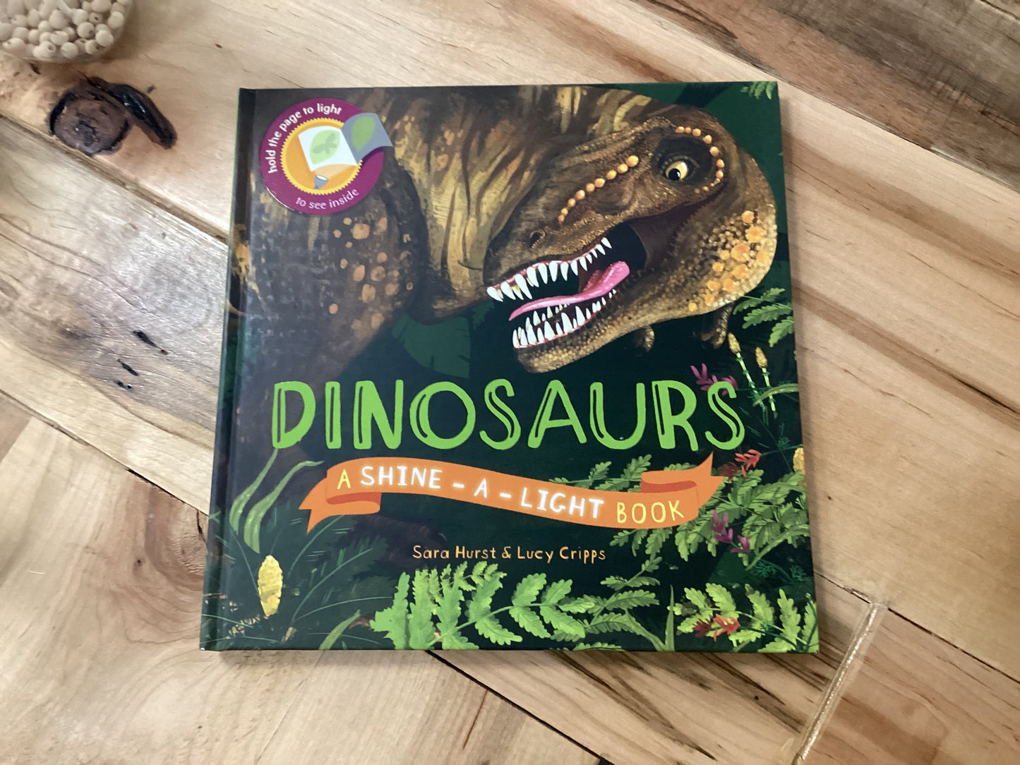 Dinosaurs