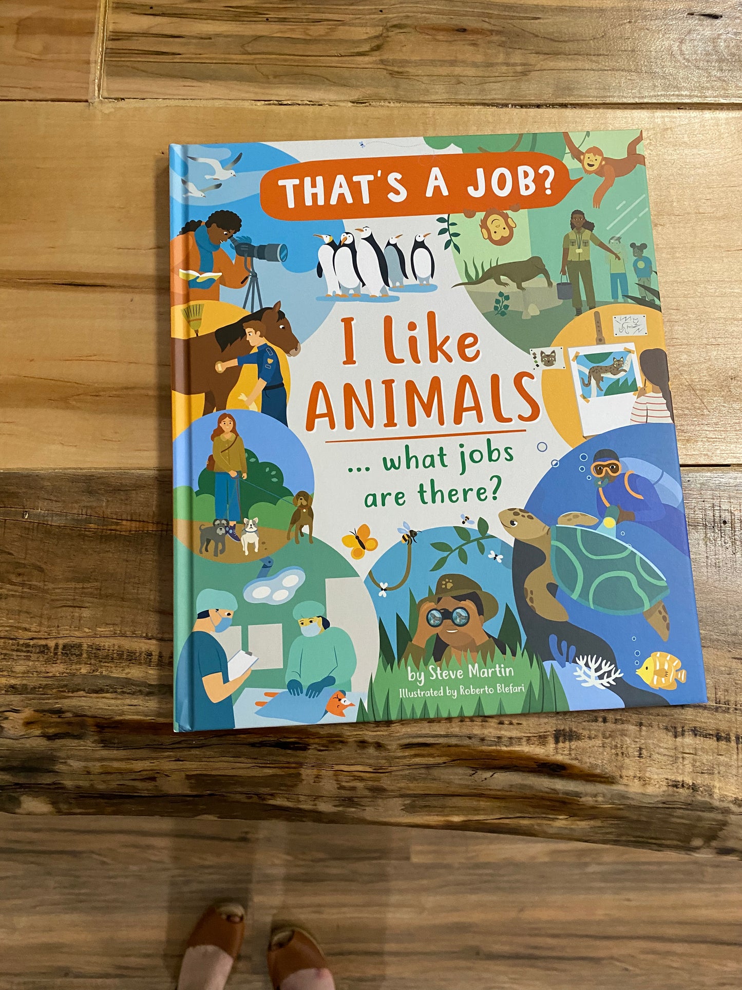 I like animals what jobs?