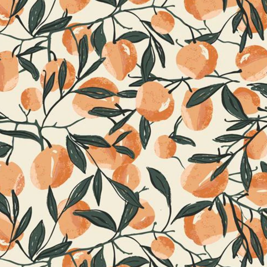 SNACK BAG: Cotton prints