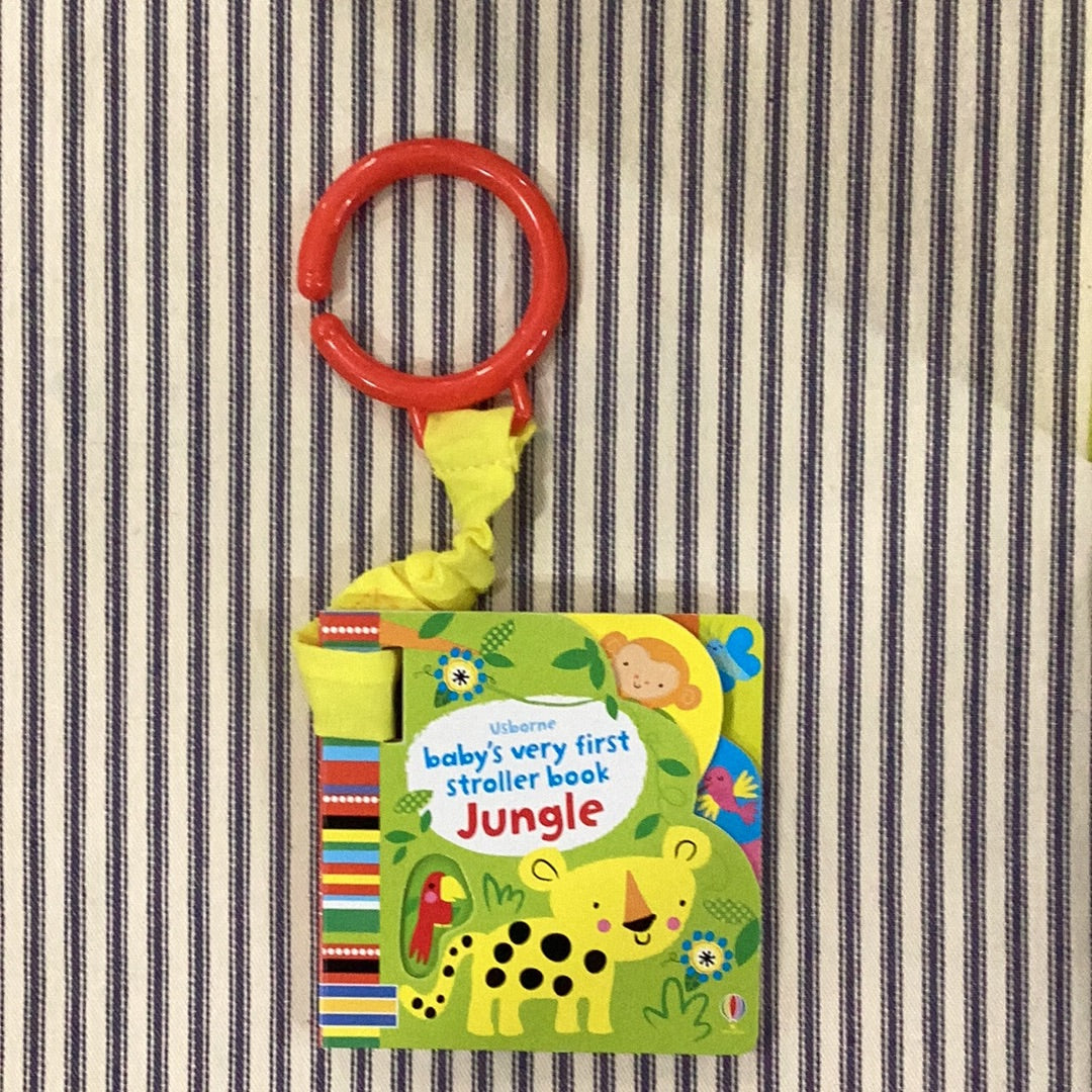 Baby’s First Stroller Book