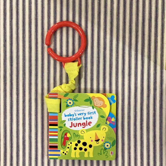 Baby’s First Stroller Book