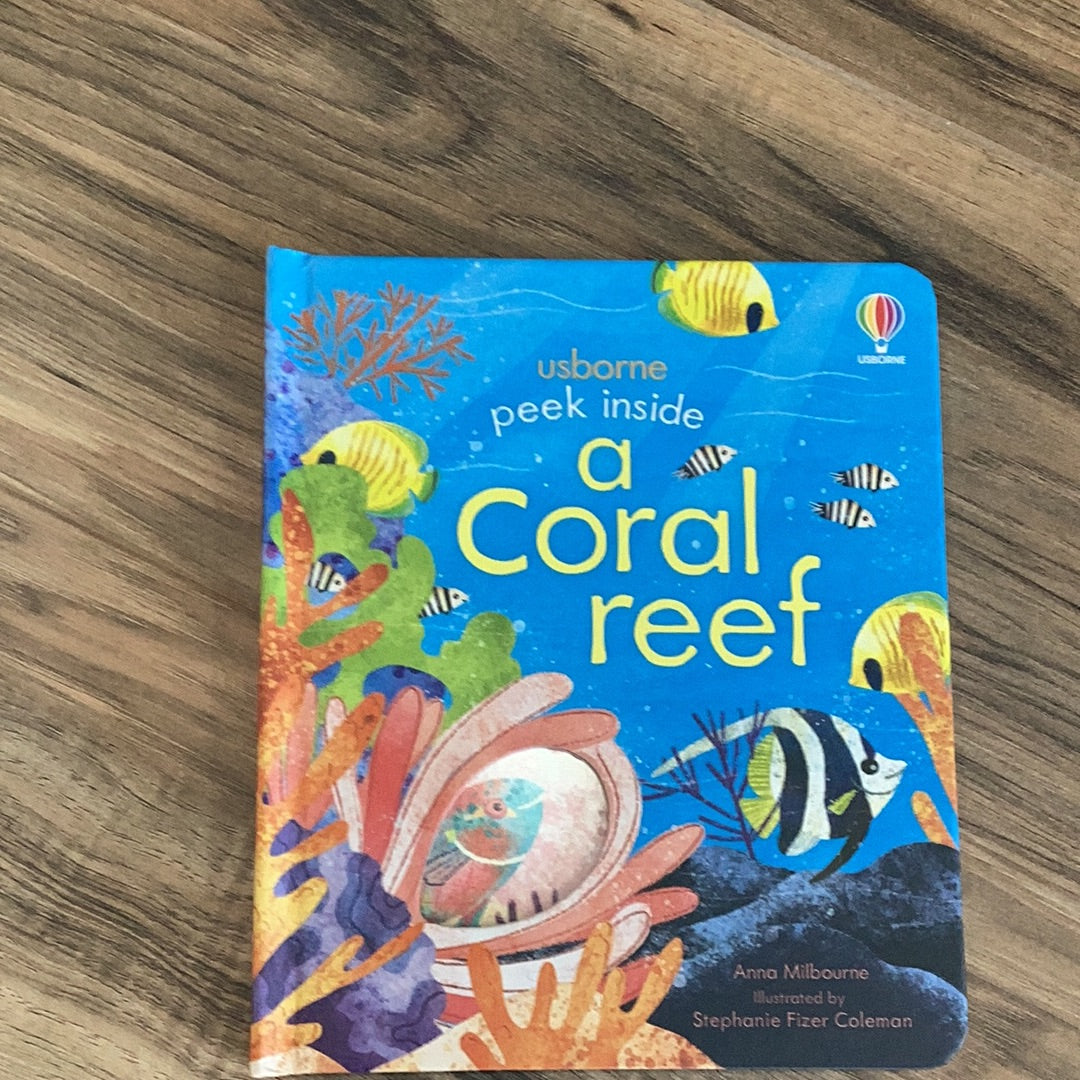 Peek inside a coral reef