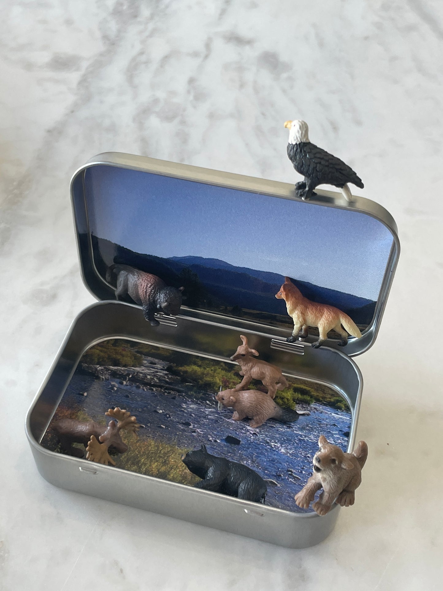 Mini Magnetic Animal Tin