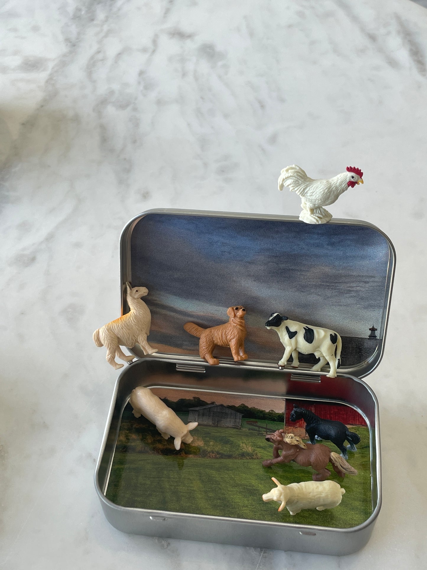 Mini Magnetic Animal Tin
