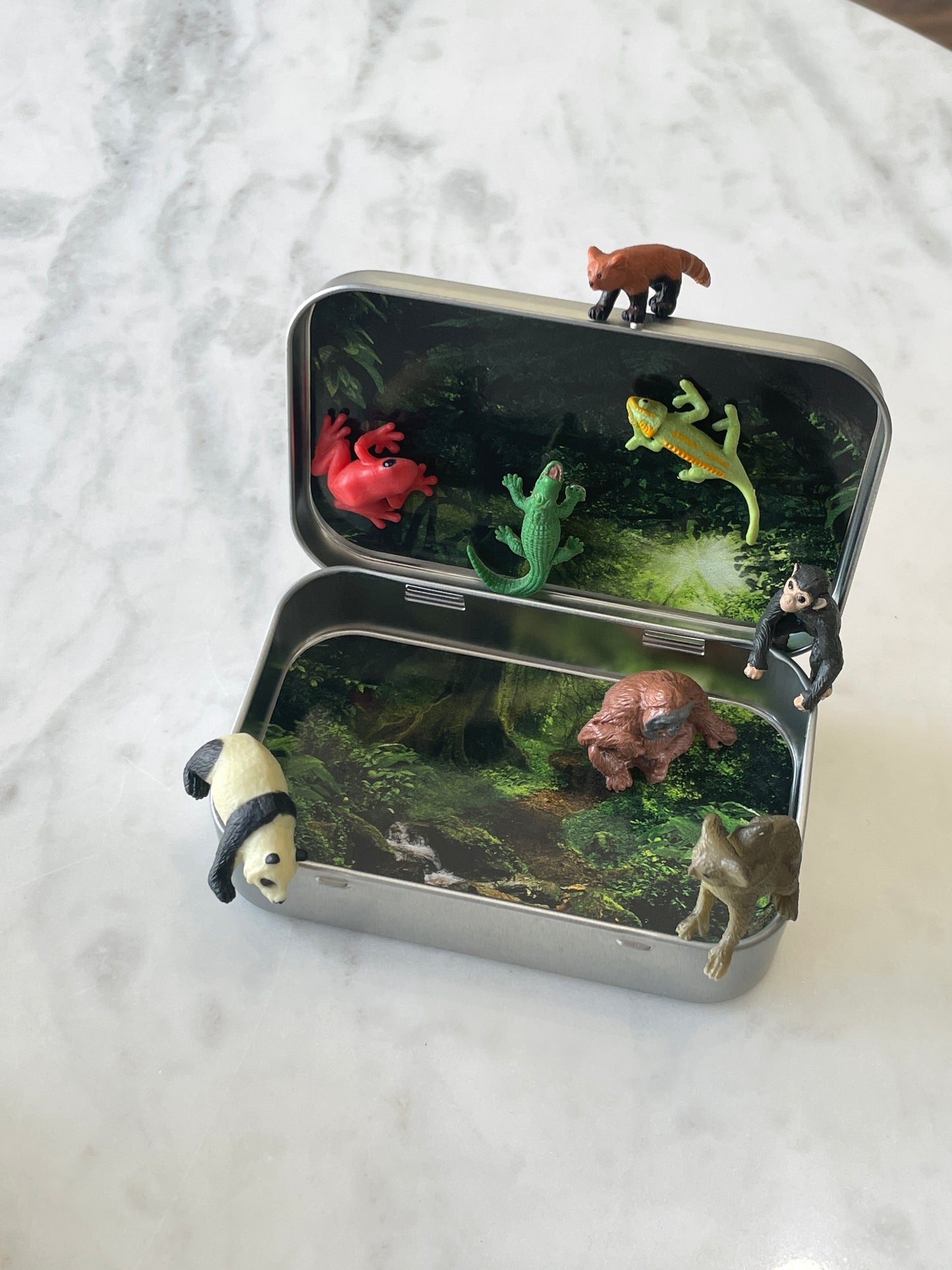 Mini Magnetic Animal Tin