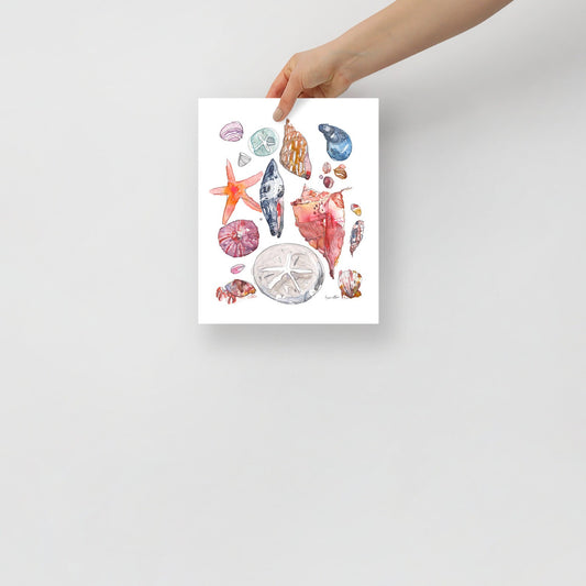 Shells by the beach print
