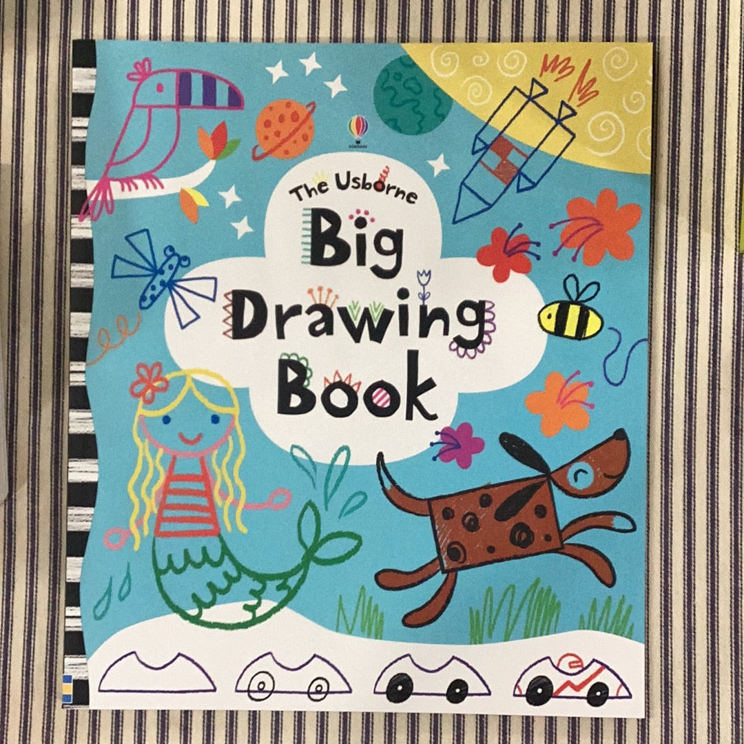Big Drawing Book