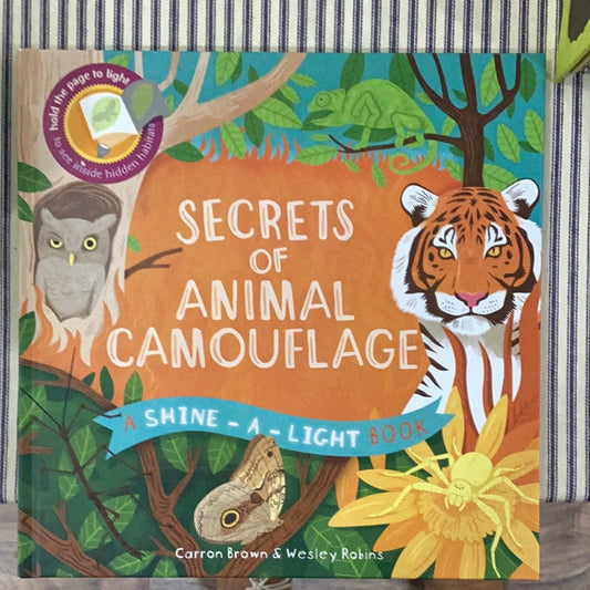 Secrets of Animal Camouflage