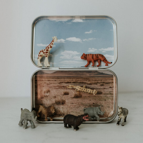 Mini Magnetic Animal Tin