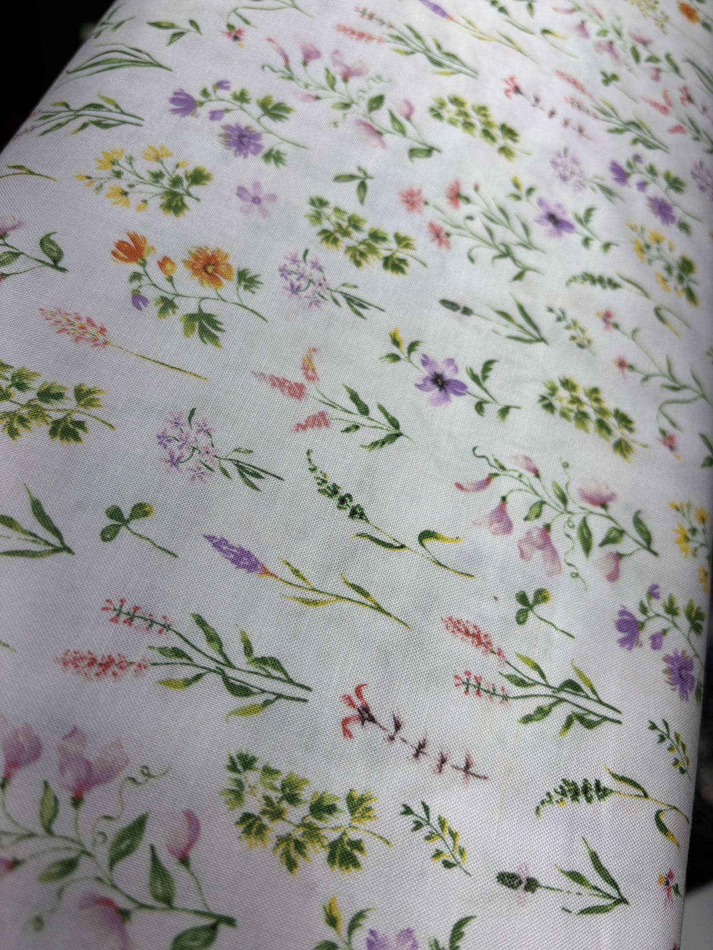 Monthly Bean Heat Pack