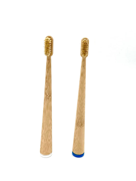 Compostable Toothbrush - Blue