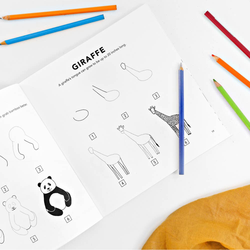 How To Draw Animals