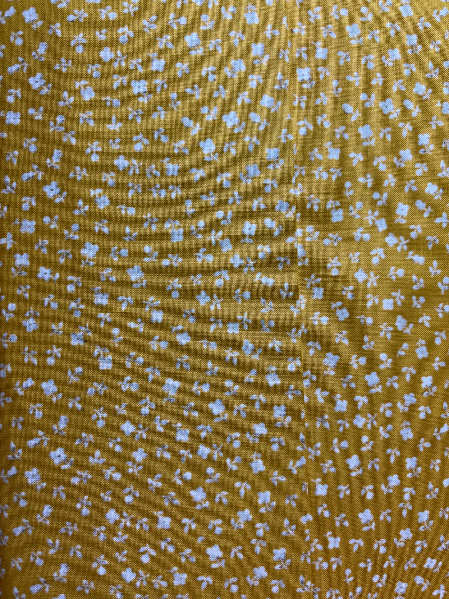 Monthly Bean Heat Pack