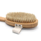 Dry/Wet Long Handle Body Brush