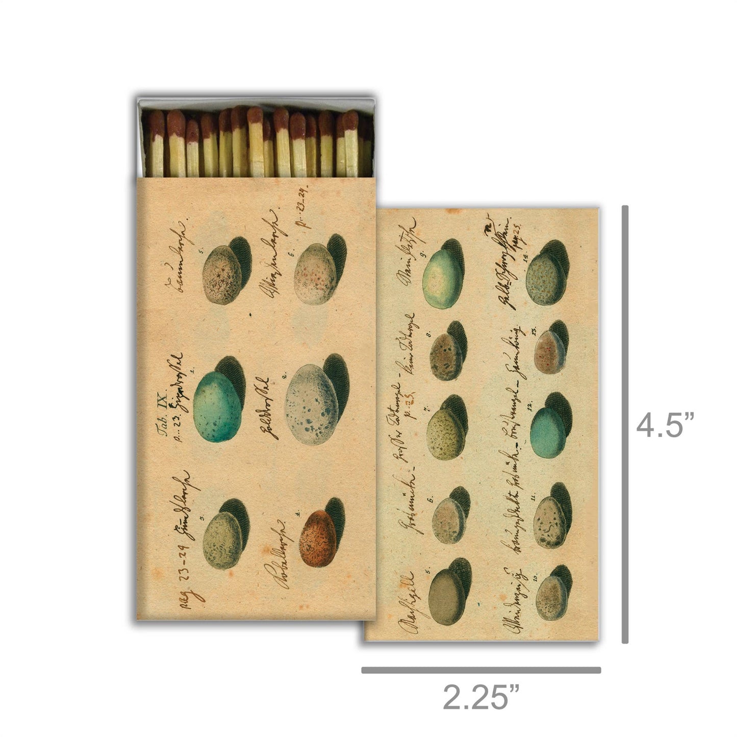 Matches - Eggs: Match Stick, Paper / Multi