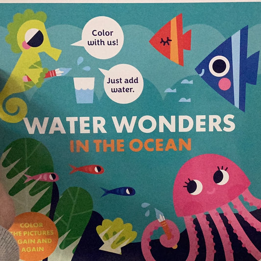 Water Wonders In The Ocean