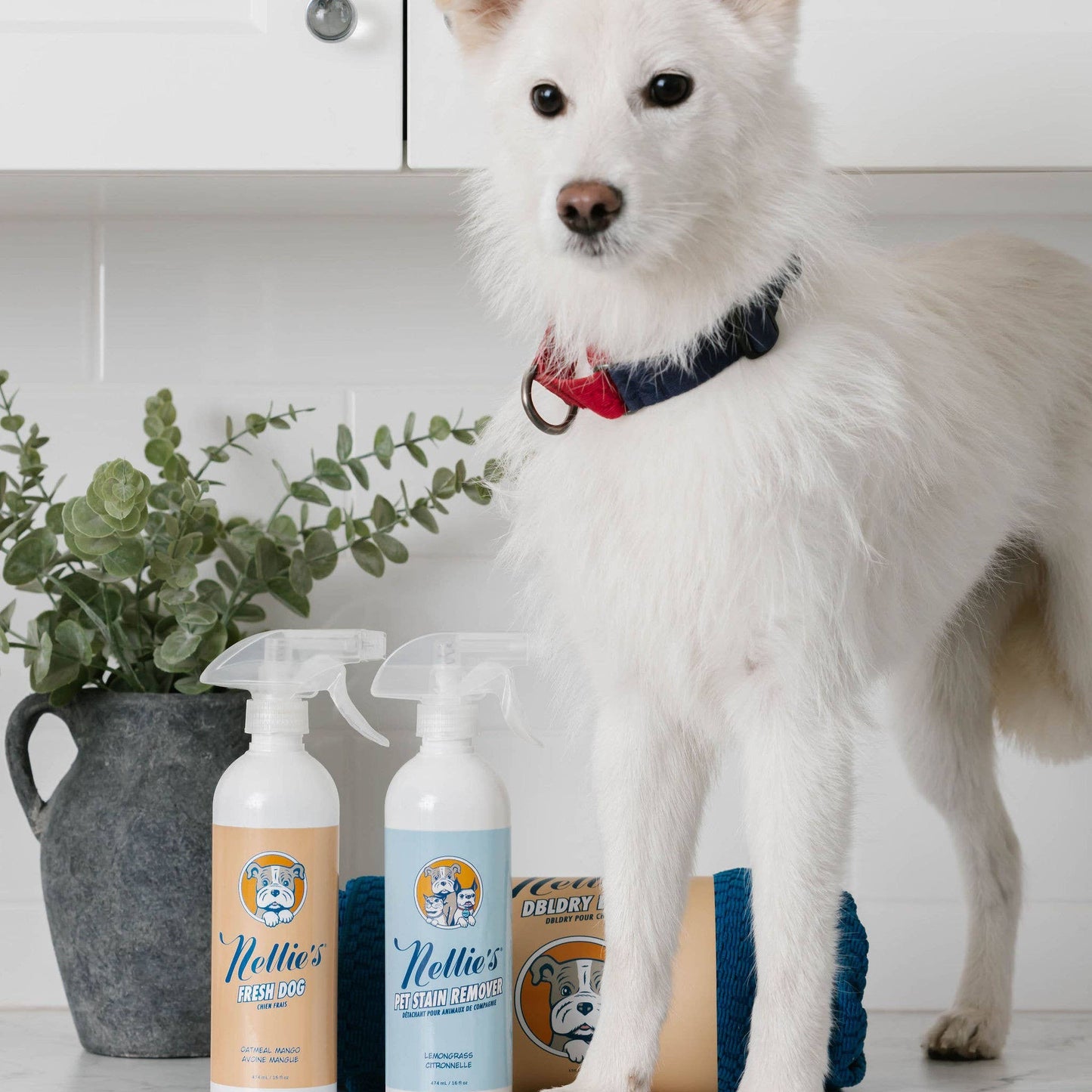 Fresh Dog - Waterless Dog Shampoo