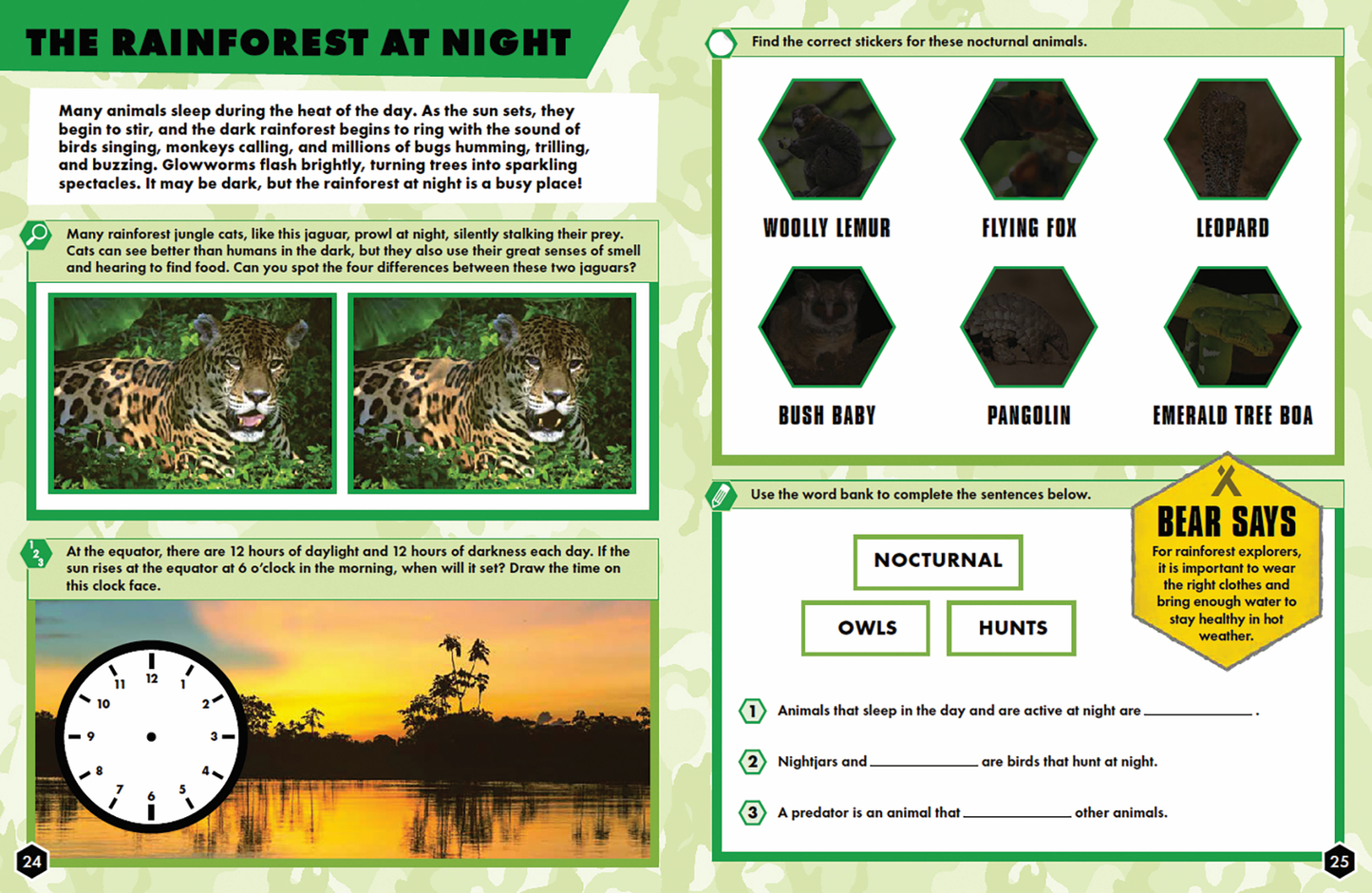 Bear Grylls Rainforests Activity Book