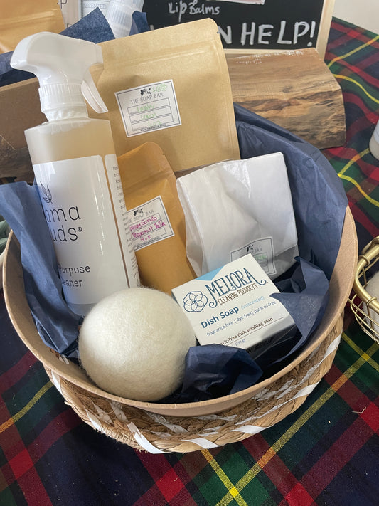 Starter clean cleaning kit