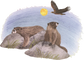 Explore! America's Wildlife
