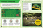 Bear Grylls Rainforests Activity Book