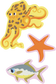 Ocean Sticker Facts