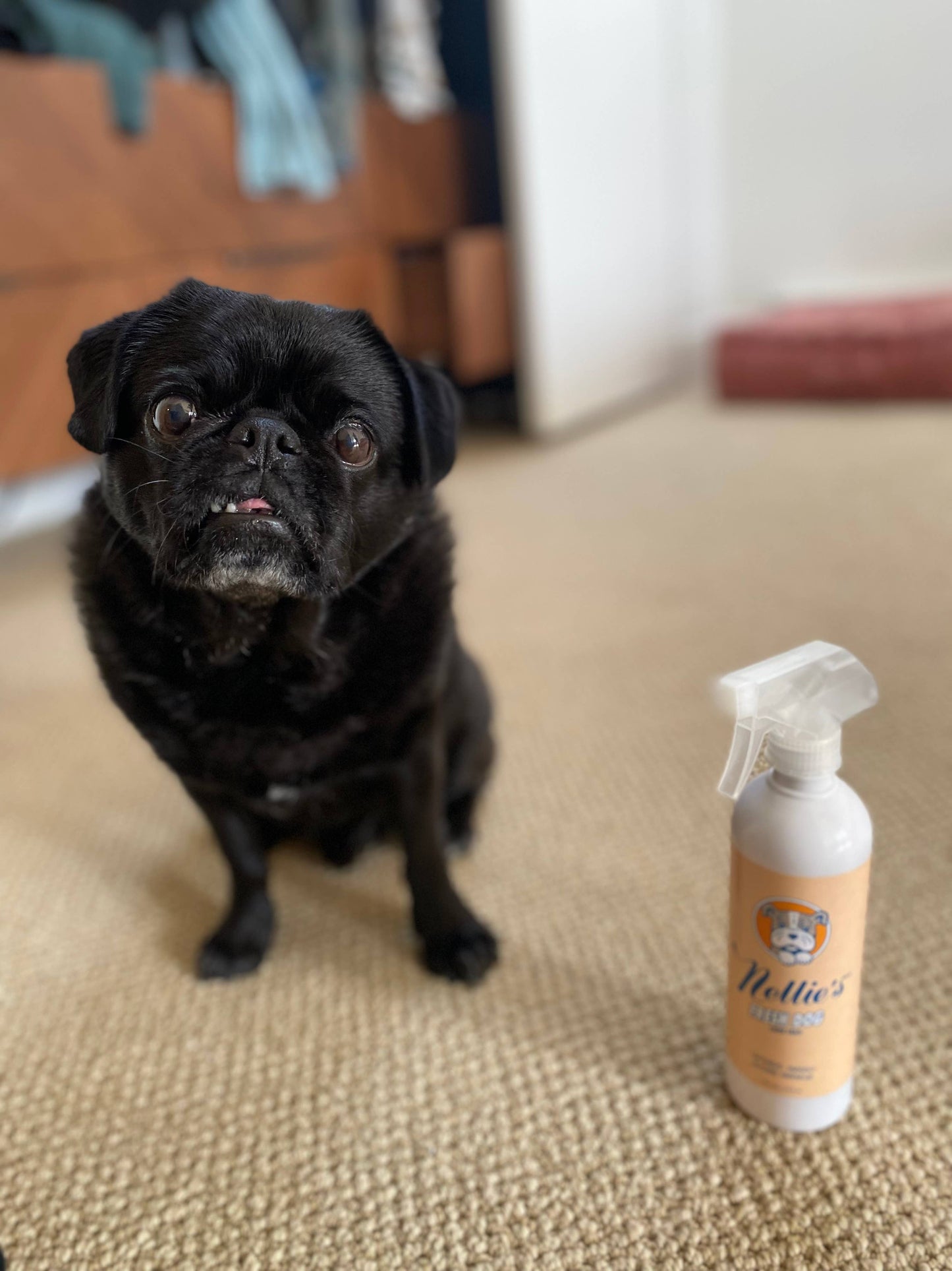 Fresh Dog - Waterless Dog Shampoo