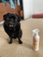 Fresh Dog - Waterless Dog Shampoo