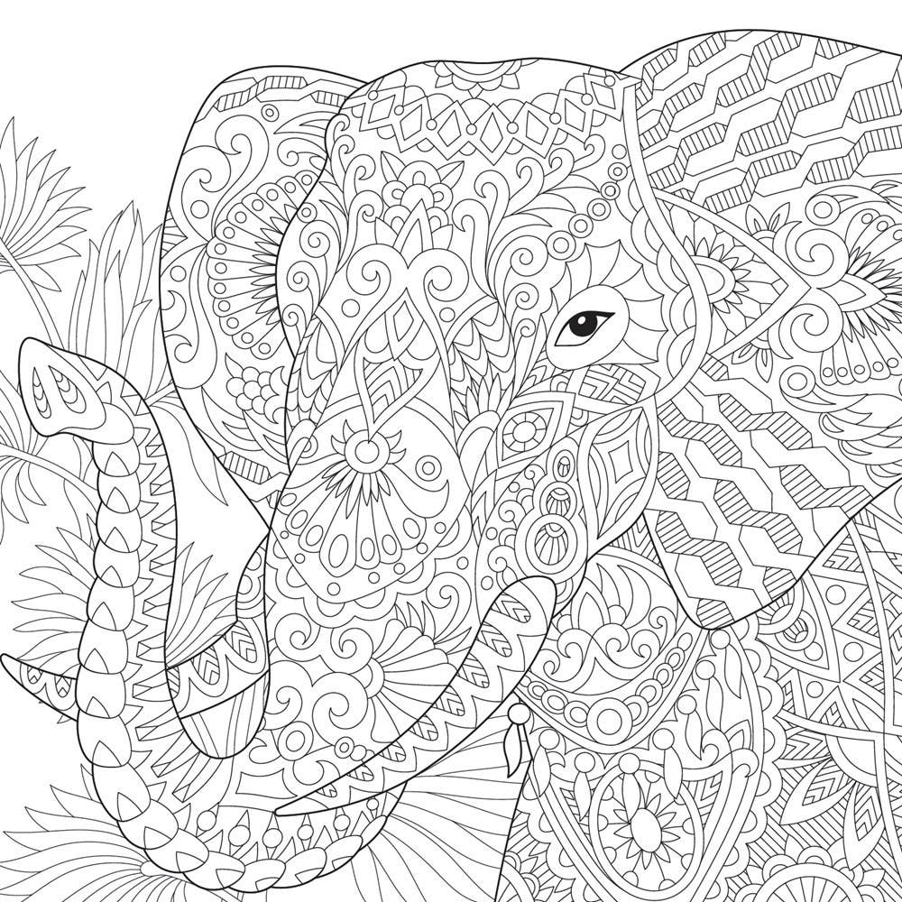 Mandala Art, Wildlife