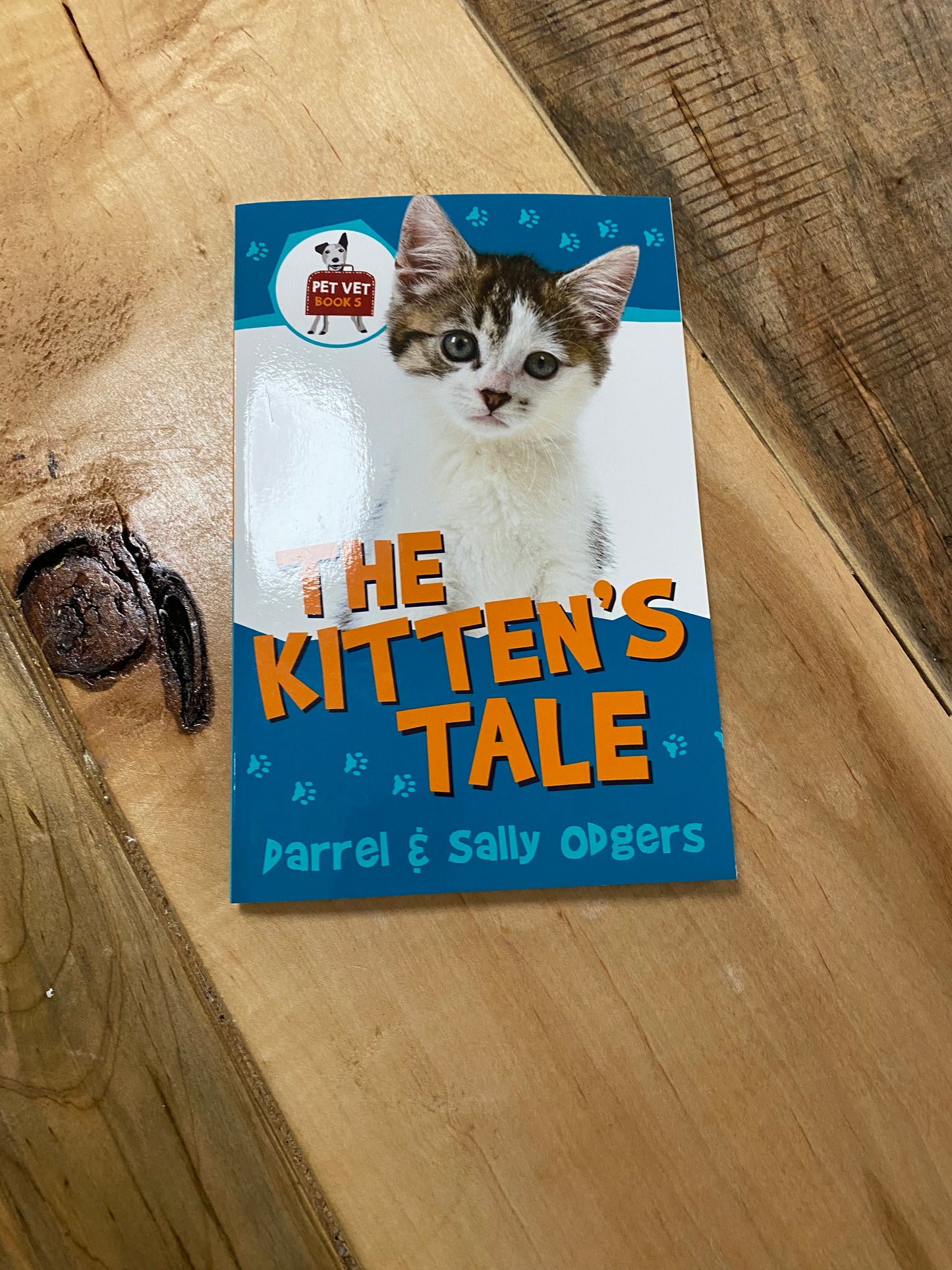 The kittens tale