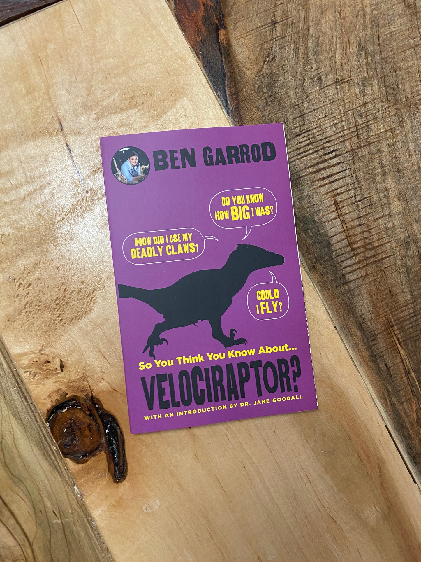 So you think you know about velociraptor