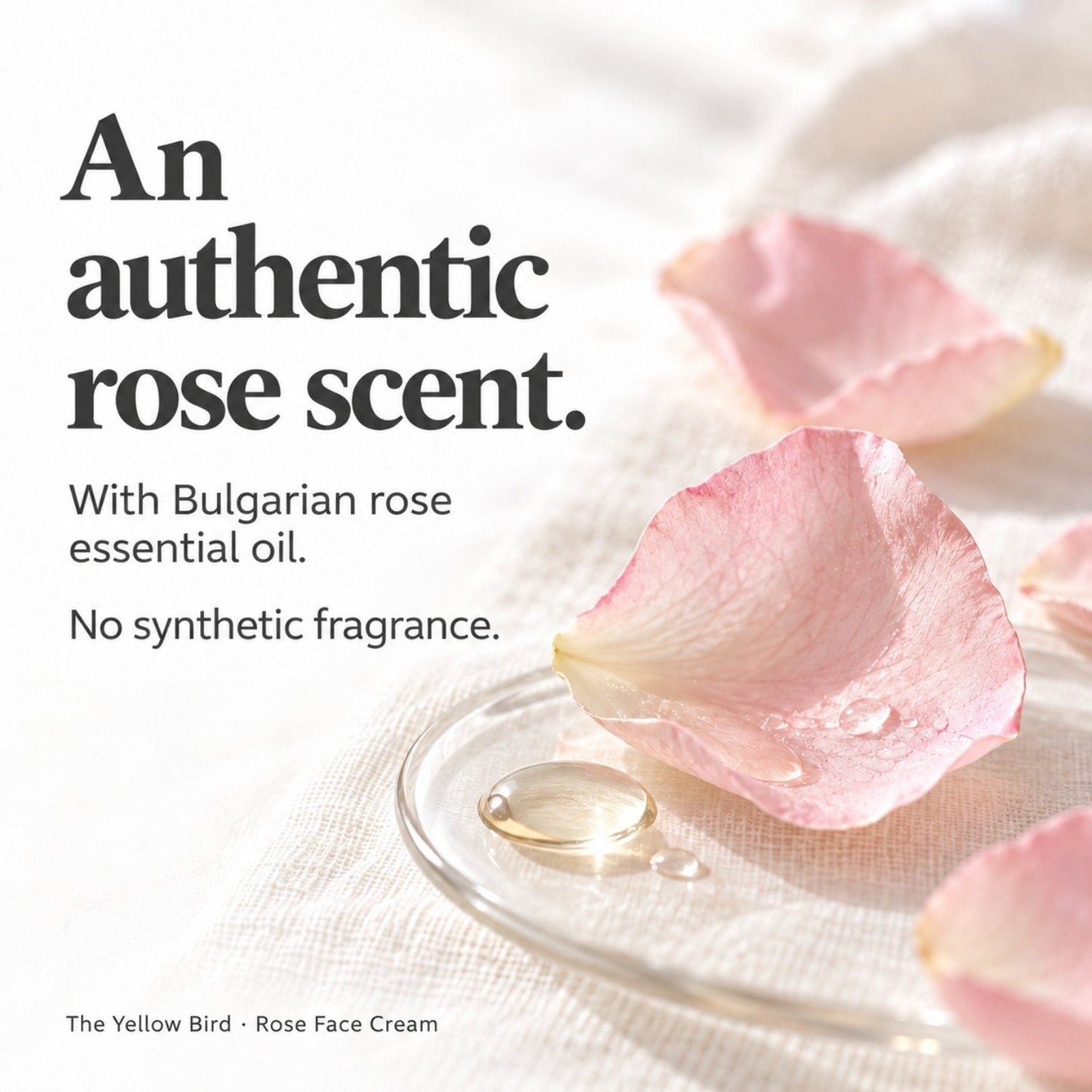 Rose petals representing the Bulgarian rose essential oil scent in Rose Face Cream by The Yellow Bird