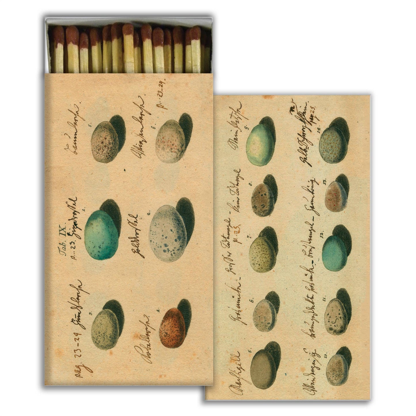 Matches - Eggs: Match Stick, Paper / Multi
