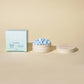 Mouthwash Tablets - Cool Mint - Box