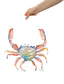 Crab Print